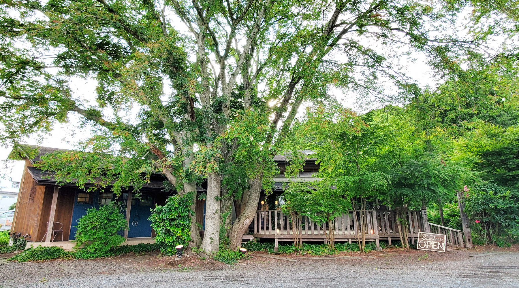 住宅街にぽつんとある小さな森のような自然を感じられる空間のケーキ屋です。